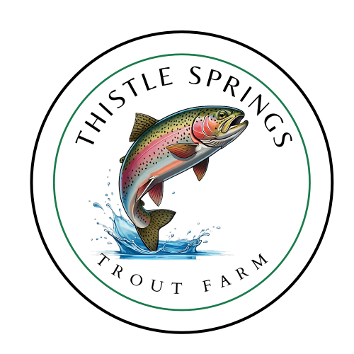 Thistle Springs logo transparent